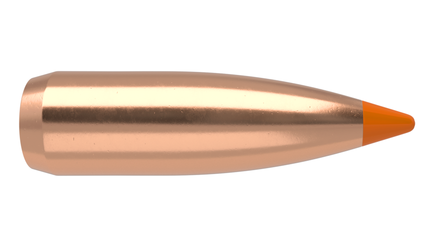 Nosler 22cal 55gr Ballistic Tip  #39560