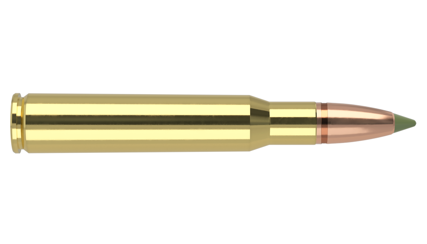 Nosler 30-06 Sprg 168gr Expansion Tip