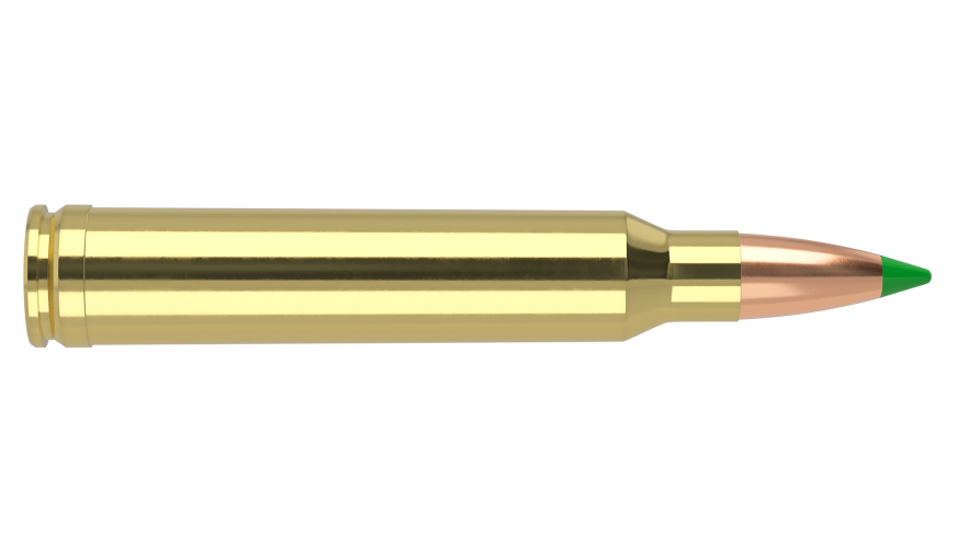 Nosler 300 Win Mag 180gr Ballistic Tip