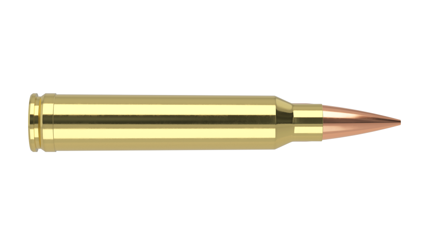 Nosler 300 Win Mag 210gr RDF