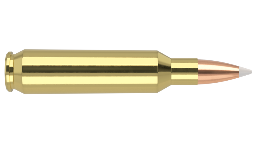 Nosler 22 Nosler 70gr Accubond