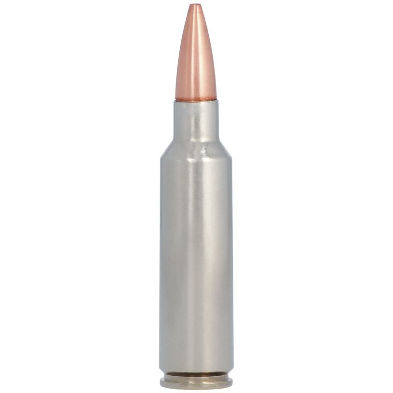 Federal Premium 300 WSM 180gr TSX · Blue Collar Reloading