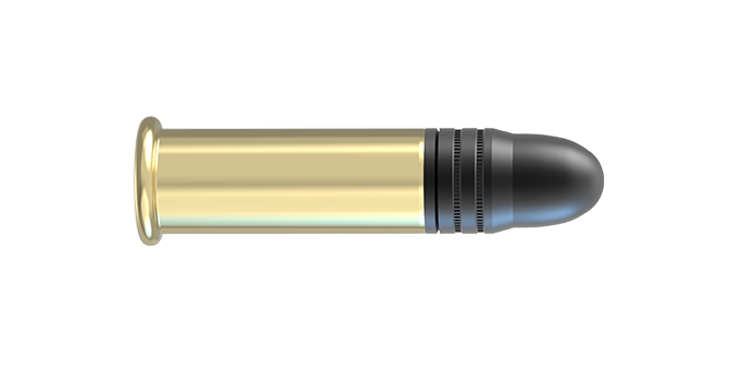 Lapua Polar Biathlon .22LR